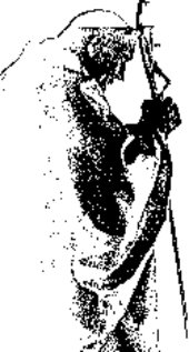 XXVIII Niedziela Zwyka
